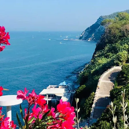 Ankon La Casa Di Joye & Nemi *