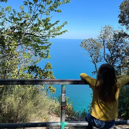 Ankon La Casa Di Joye & Nemi