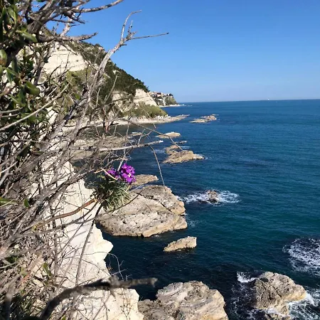 Apartmán Ankon La Casa Di Joye & Nemi