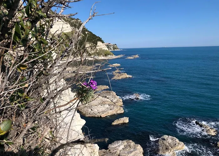 Apartment Ankon La Casa Di Joye & Nemi