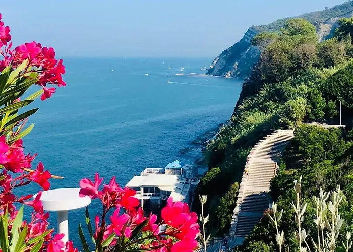 Ankon La Casa Di Joye & Nemi *